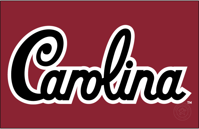 South Carolina Gamecocks 2018-Pres Wordmark Logo iron on transfers for T-shirts